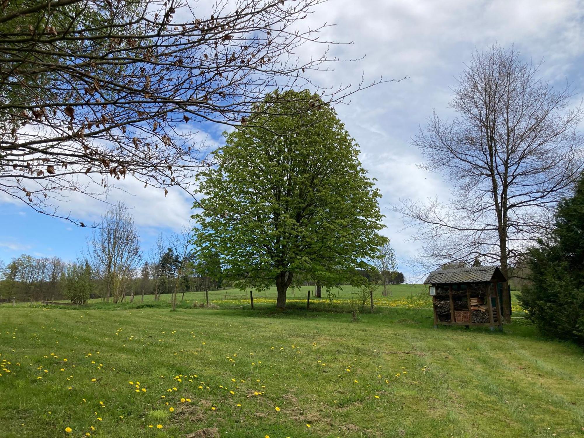 Gasthof Walhalja Schmallenberg Bagian luar foto